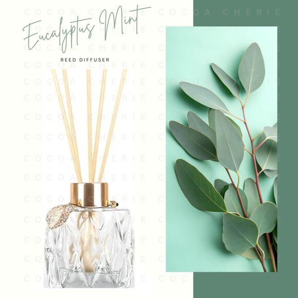 Eucalyptus Mint Reed Diffuser 4oz. - Picture 1 of 1